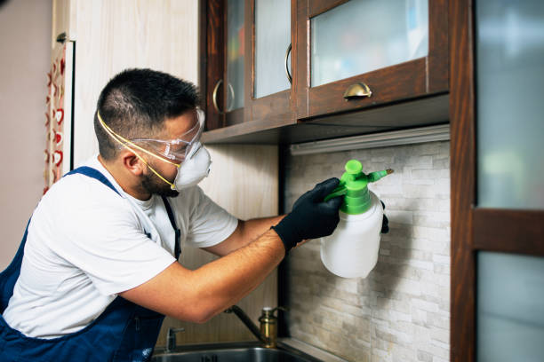 Best Emergency Pest Control  in Colwich, KS