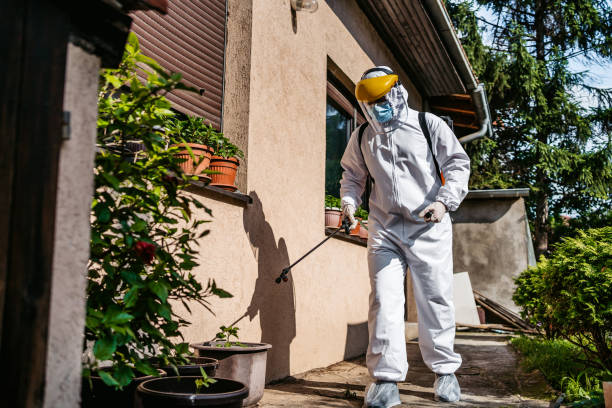 Best Mosquito Control Services  in Colwich, KS