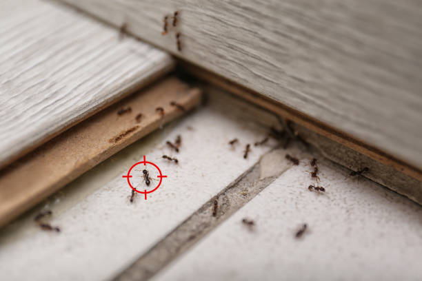 Best Commercial Pest Control Services  in Colwich, KS