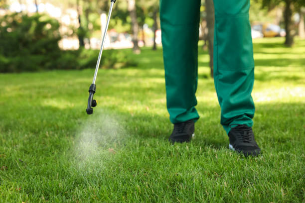 Best Pest Prevention Services  in Colwich, KS