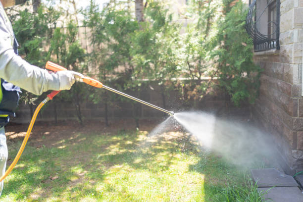 Best Local Pest Control Services  in Colwich, KS