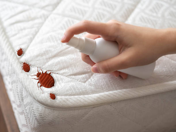 Best Best Pest Control Near Me  in Colwich, KS