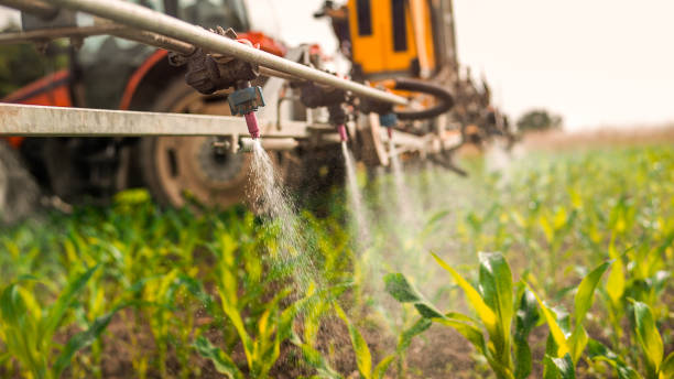 Pest Prevention Services in Colwich, KS